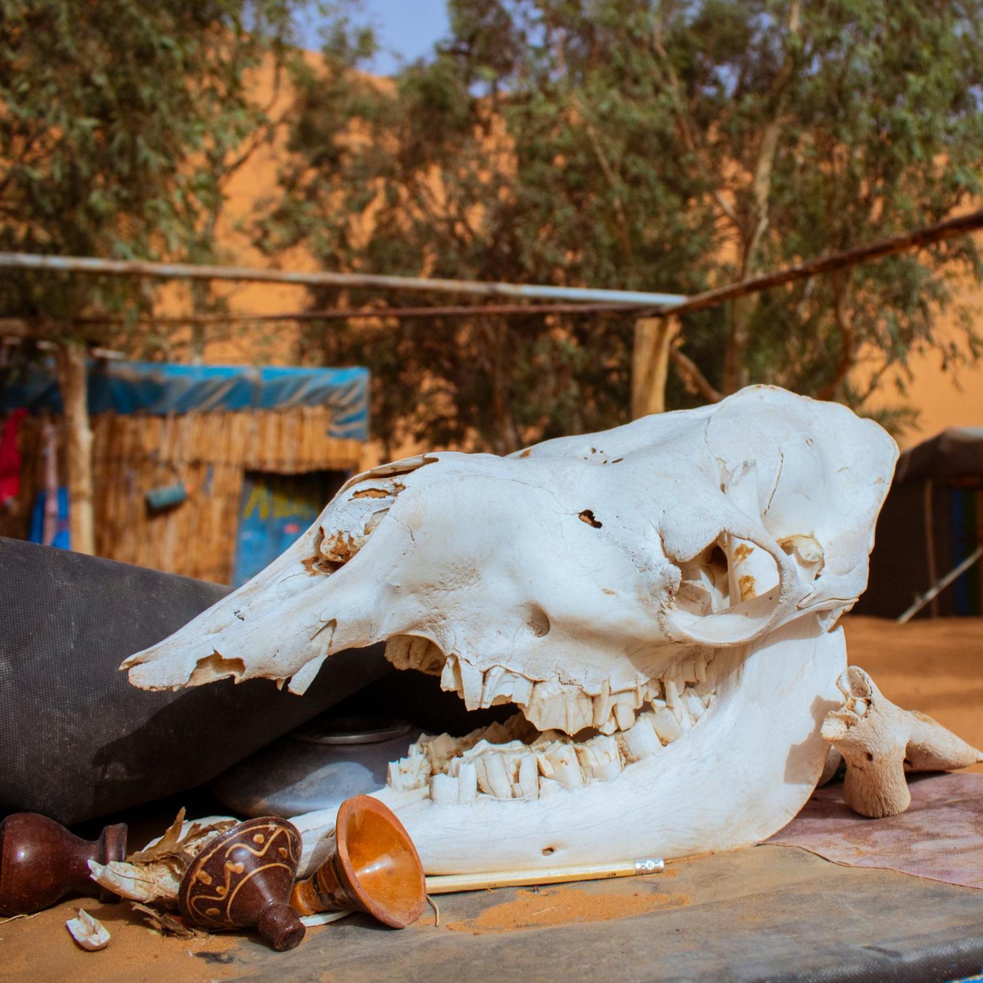 Oasis Desert Camp Obira Merzouga Eksteriør billede